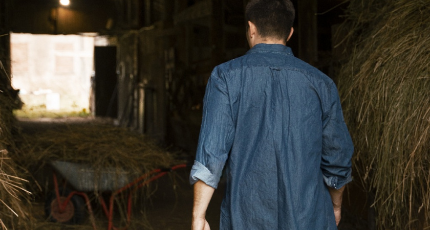 В Коврове рабочий погиб в результате уборки на ферме