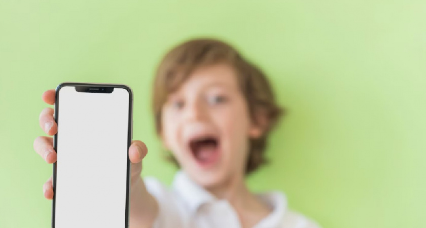 «Сферум» заменят на МАХ в школах Владимирской области