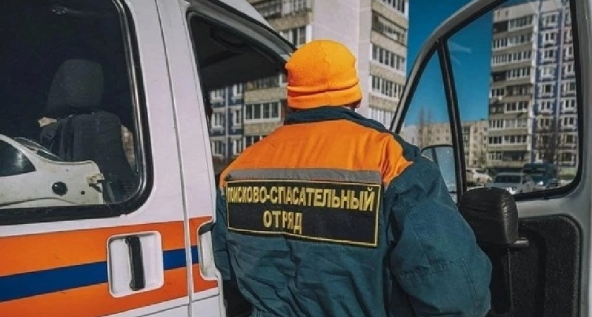 В Коврове спасатели освободили автомобиль из-под упавшего дерева