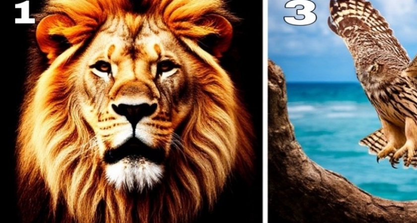 Выберите картину и узнайте, чем вы привлекаете других людей: честный психологический тест — получите важный совет