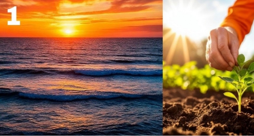 Выберите картинку и узнайте свое предназначение: честный психологический тест — получите важный совет