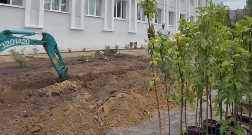 Во Владимире озеленяют территорию музыкальной школы №1