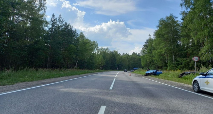 Женщина и годовалый малыш из Владимира пострадали в ДТП под Воронежем