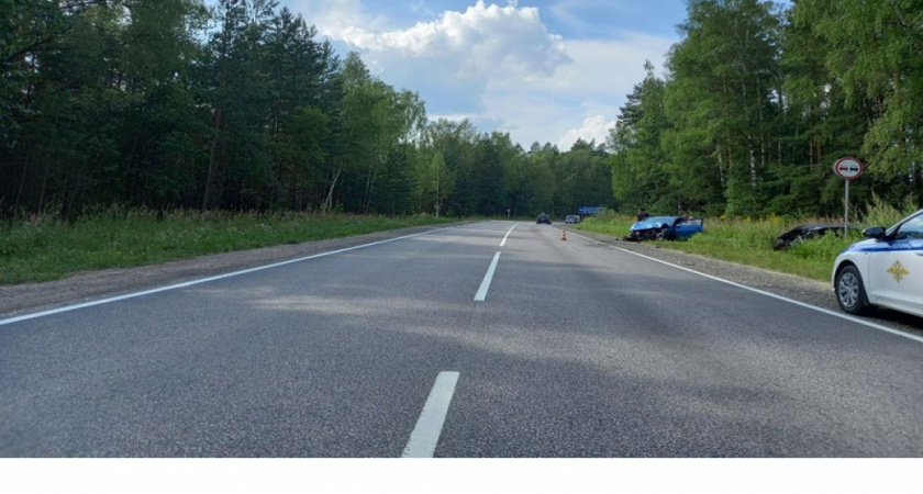 Инспекторы Владимирской области задержали 95 нетрезвых водителей