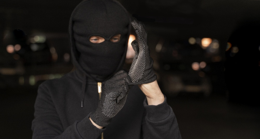 Во время застолья в одной из владимирских квартир гости украли у хозяйки 100 тысяч рублей