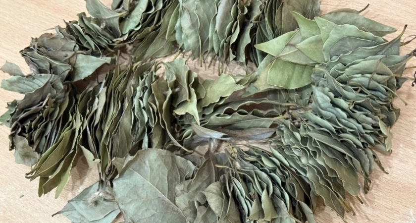 Лайфхак для борьбы с плесенью на окнах с помощью соли и лаврушки