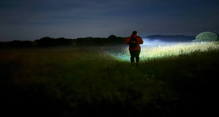 Во Владимирской области нашли 78-летнюю женщину после нескольких дней поиска