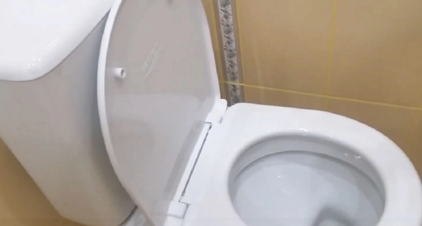 Как с помощью таблеток для посудомоечных машин избавиться от налета в унитазе?