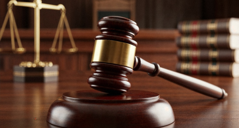 Житель Владимира предстанет перед судом за убийство кота