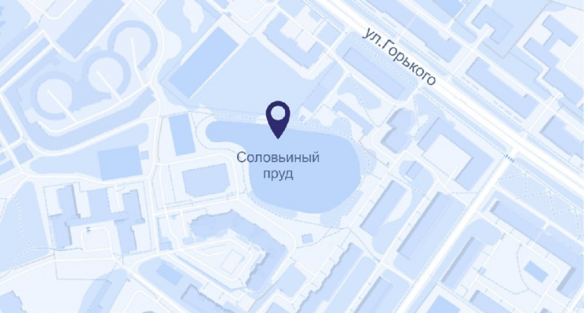 Во Владимире ищут подрядчика для благоустройства Соловьиного пруда