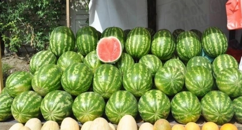 Врач предупреждает: эти 3 признака выдают опасный арбуз. Проверьте перед покупкой