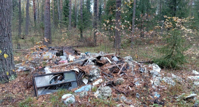 В охраняемых природных зонах Владимирской области убрали крупные свалки