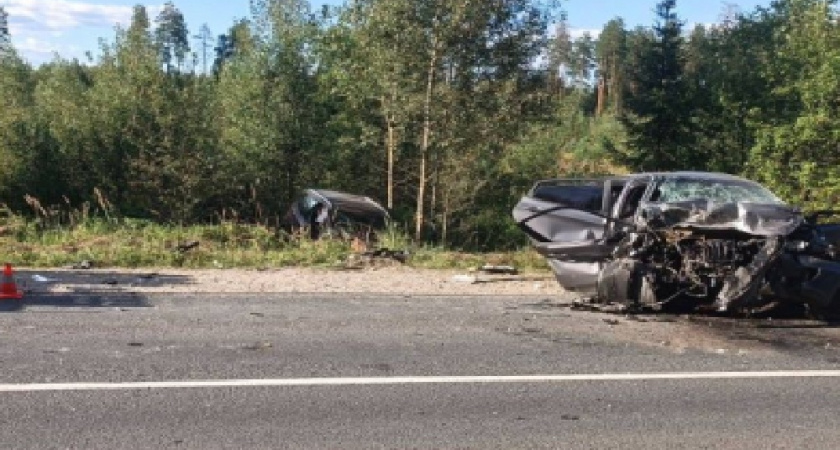 За неделю на дорогах Владимирской области произошло 44 ДТП с двумя погибшими