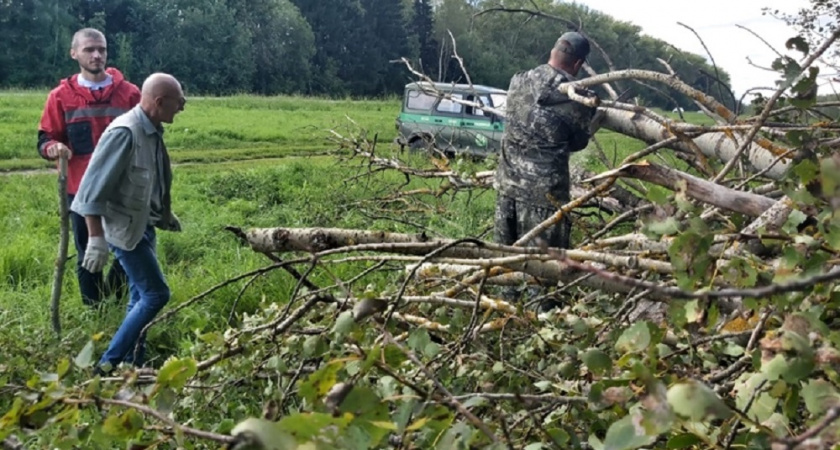 Во Владимирской области расчистили лес у трассы "Владимир-Юрьев-Польский"