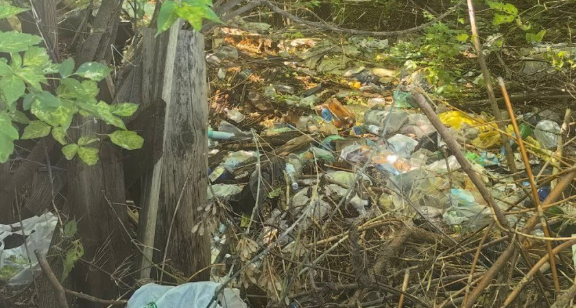 В центре Мурома образовалась ещё одна незаконная свалка