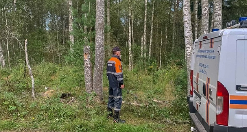 Двух заблудившихся женщин нашли в Камешковском районе