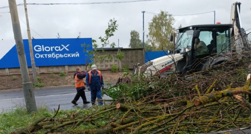 Коммунальщики вывезли ветки и навели порядок во дворах боковых улицам в центре Владимира