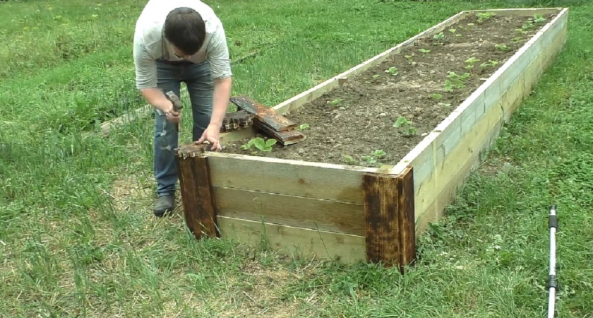 Осенняя перезагрузка огорода: соорудите эти грядки сейчас для рекордного урожая в будущем сезоне