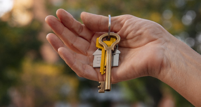 Многодетной семье во Владимире выделили землю