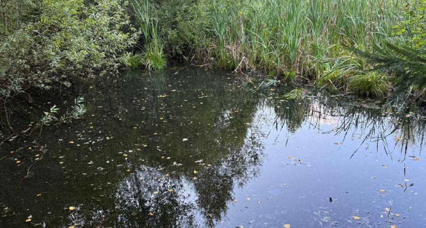 В ковровском водоёме погиб четырёхлетний ребёнок