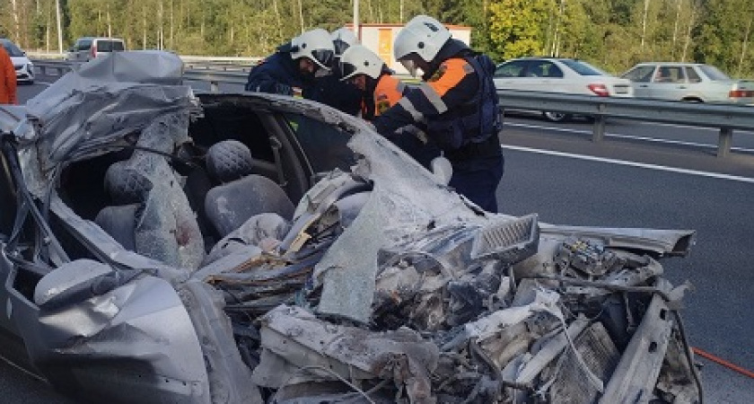 Водитель легковушки погиб в столкновении с грузовиком на трассе М-12 во Владимирской области
