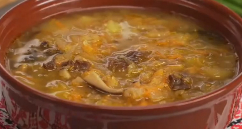 Опасный бульон: с какими грибами ни в коем случае нельзя варить суп - отвечает врач