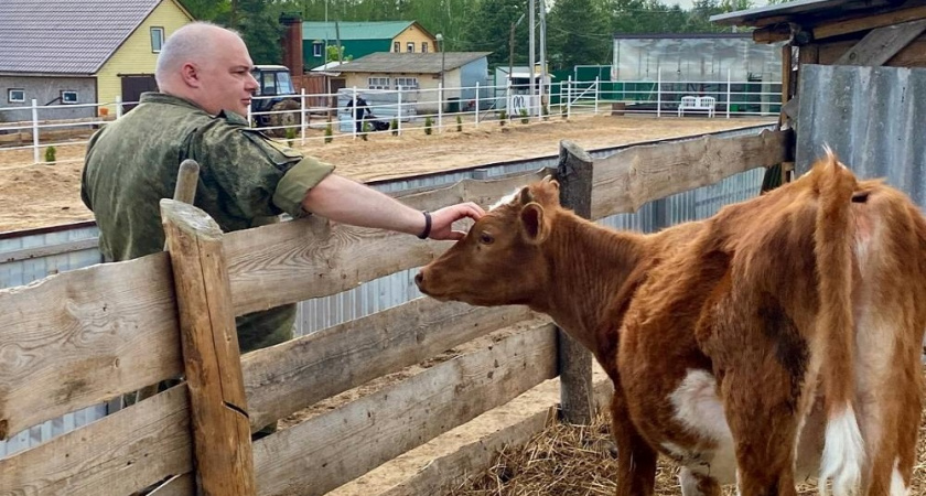 Пять агростартапов ветеранов получат во Владимирской области 18 миллионов рублей