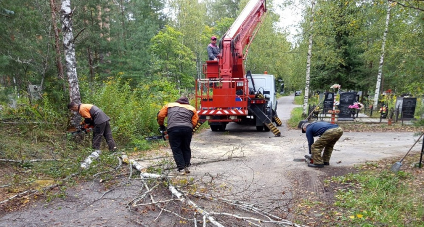 С 16 августа вывезено около 800 кубометров мусора с кладбищ Владимира