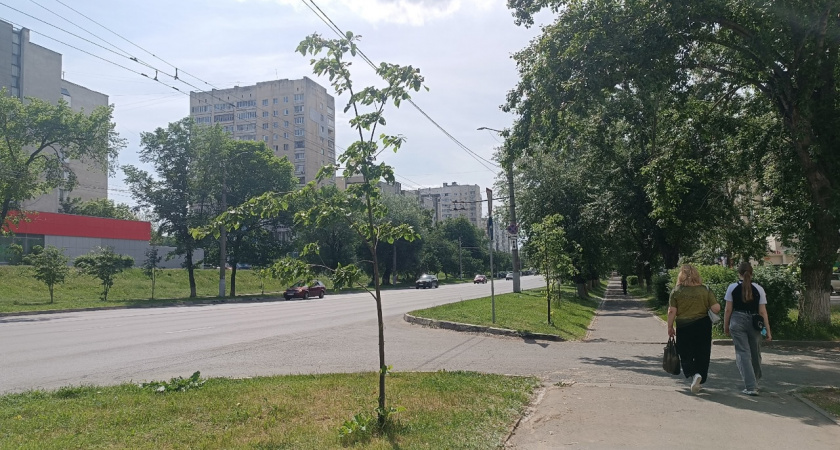 Фразы, меняющие сознание: 13 афоризмов, которые перевернут вашу жизнь - запомните эти мудрости