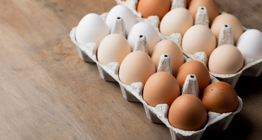 Эко-лайфхаки: гениальные способы использования яичных лотков в быту и на даче, о которых вы не догадывались