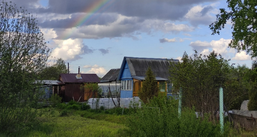Никогда не сажайте в саду и возле дома эти 4 дерева: опасно и глупо — Мичурин предупреждал еще 90 лет назад