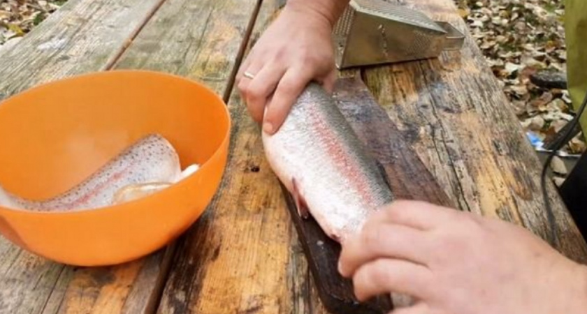 Как очистить рыбу без ножа и кипятка всего за 2 минуты: испанский метод, который реально работает