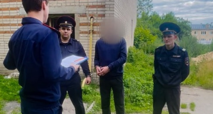 Жителя Камешковского района судят за смертельное ранение соседки ножом