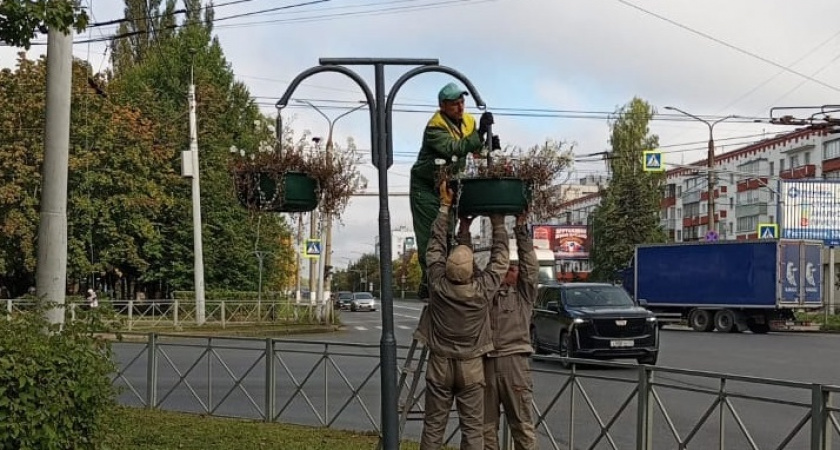 Владимирские коммунальщики убрали летние цветы с городских улиц