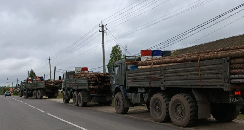 80 кубометров леса из 33 региона отправили в Запорожскую область