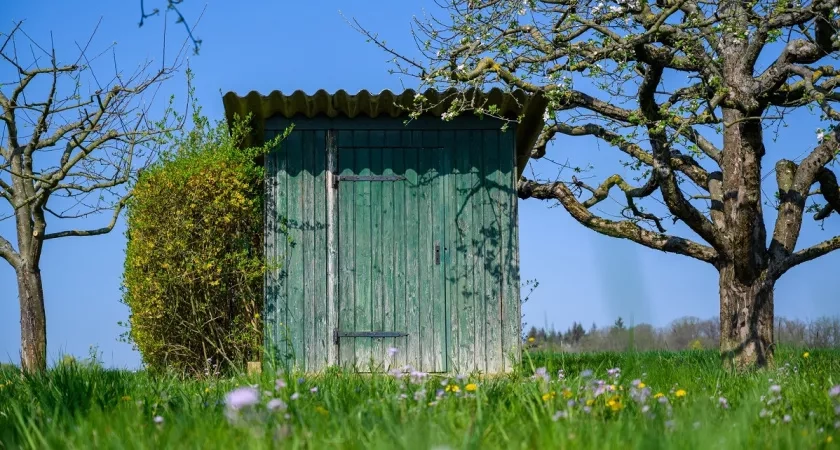 Что нужно залить в дачный туалет, чтобы забыть о проблемах на 2 года: отходы растворятся и запаха не будет