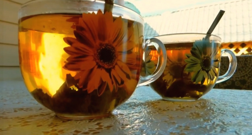 Личный эксперимент - по 2 чашки в день: вот что случилось с организмом врачей, которые начали пить зеленый чай