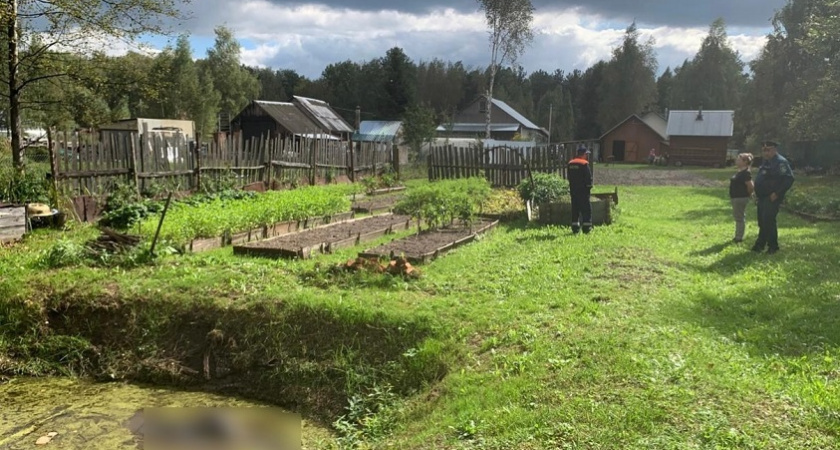 Пенсионерка утонула в пруду села Березники под Собинкой