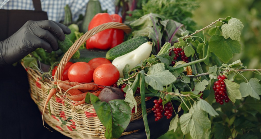  Праздник урожая пройдет на улице Совхозной 7 сентября 2025 года