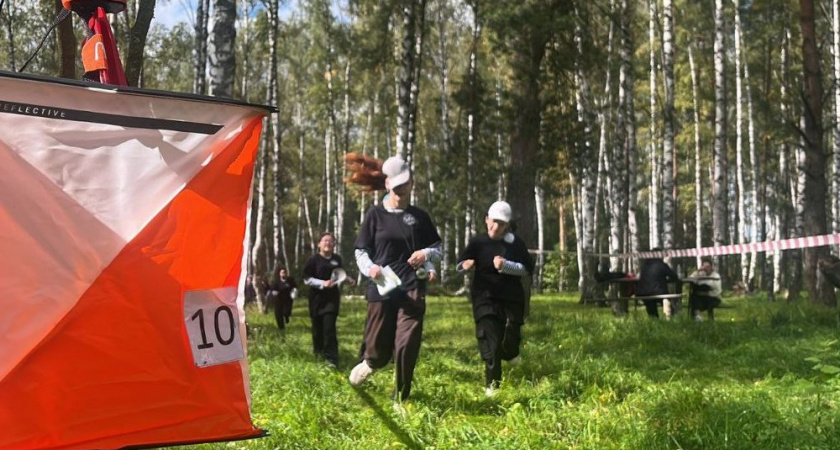 В лесах под Собинкой устроили Робинзонаду 