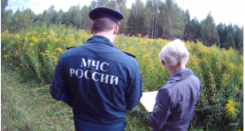 В Судогодском районе выявили еще 536 гектаров заброшенных земель