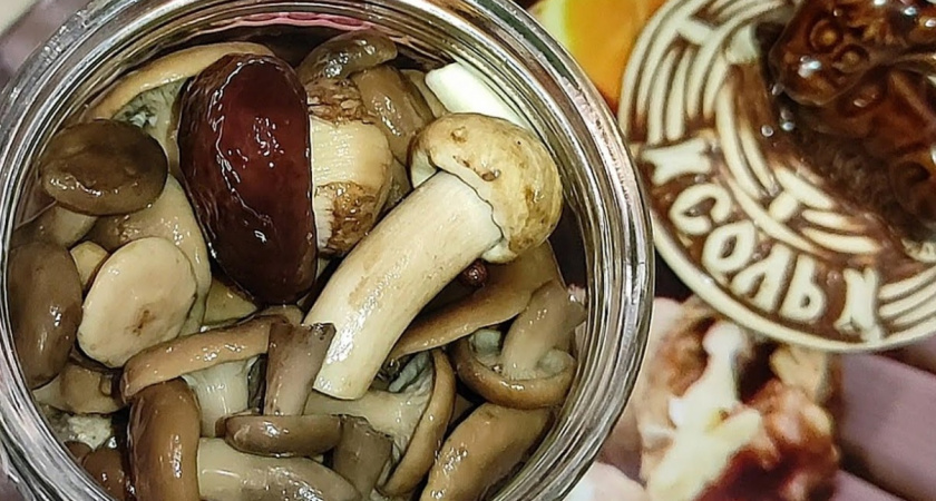Секреты идеальной засолки грибов от бывалой грибницы: запомните эти правила