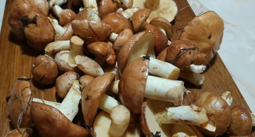 Врач-диетолог предупреждает: кому категорически нельзя есть любимые многими маслята?