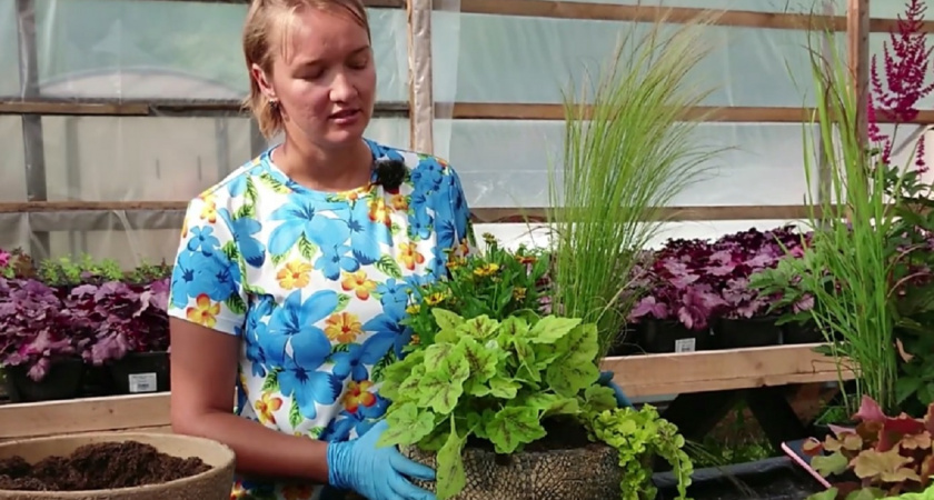 6 гениальных идей контейнерного озеленения - устройте цветочный рай даже на маленьком участке