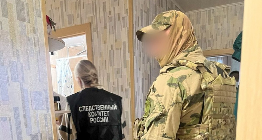 Два частных детектива во Владимирской области зарабатывали на незаконной продаже чужих данных