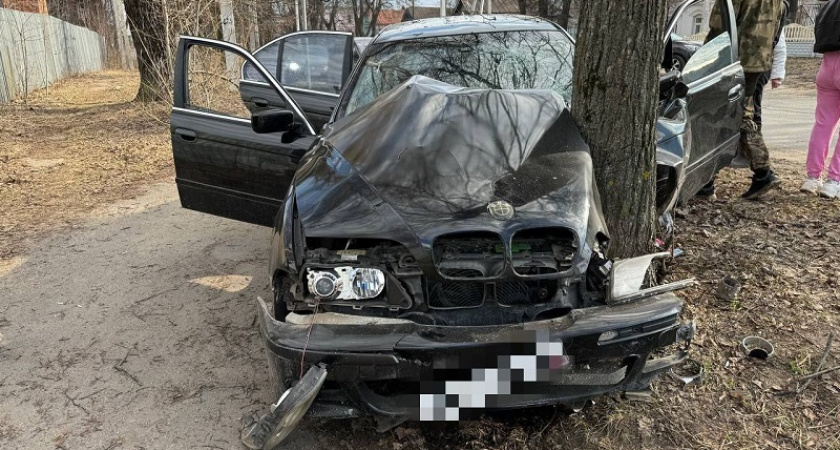 В Вязниковском районе пьяный водитель без прав устроил ДТП из-за кошки