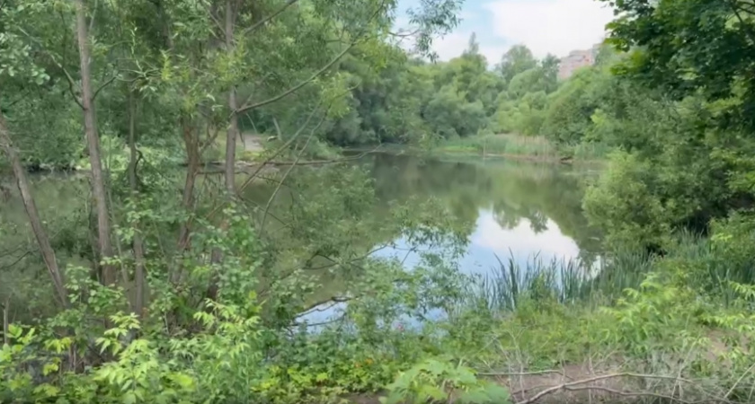На "прямой линии" Алескандр Авдеев развеял слухи о строительстве ТЦ в парке у ДТЮ