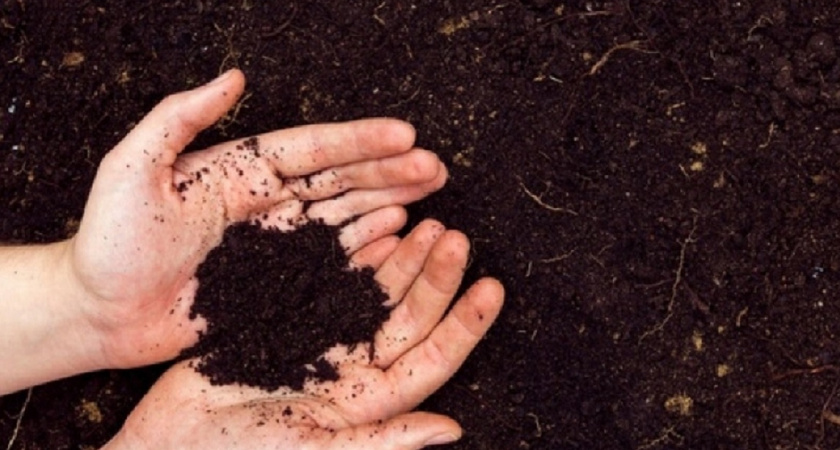 Забудьте про магазинный грунт: готовим сами "живую" почву - рассада будет расти как на дрожжах