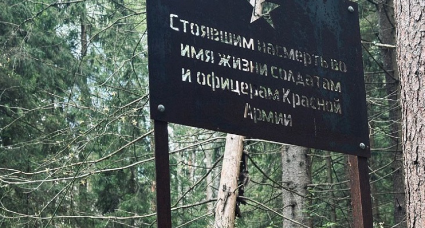 Поисковики из Владимирской области проведут месяц в поисках останков бойцов ВОВ