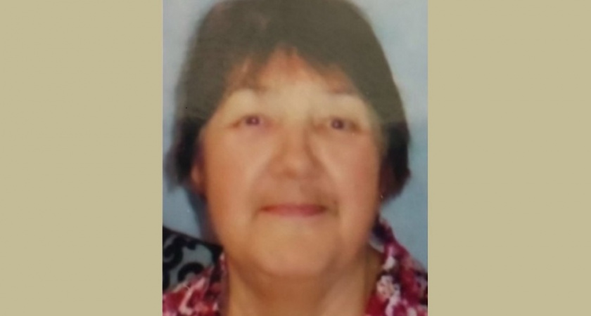 Во Владимирской области идут поиски восьмидесятилетней женщины